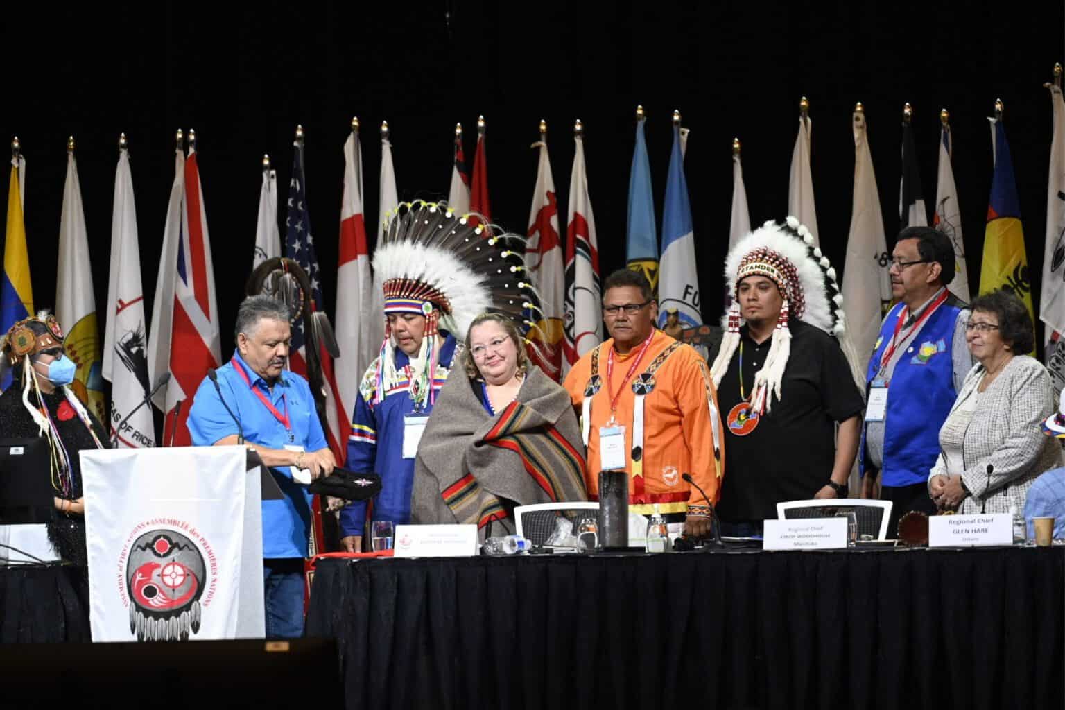 Assembly of First Nations Bluesky Strategy Group